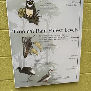 Sep. 2025 - Dan Moran Aviary - Signage (4)