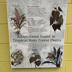 Sep. 2025 - Dan Moran Aviary - Signage (5)