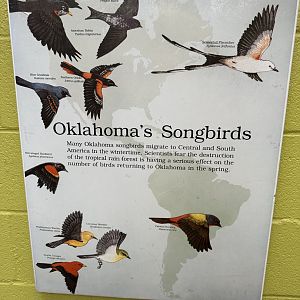 Sep. 2025 - Dan Moran Aviary - Signage (6)