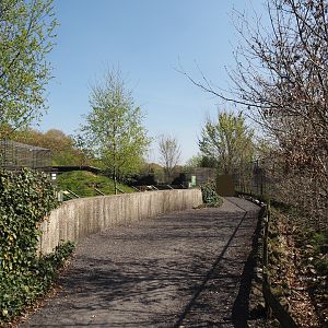 Walkway between Spotted hyena exhibit and Chinese dhole exhibit, with viewing area for hyenas, 2025-04-12