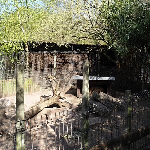 Domestic rabbit exhibit (Formerly striped skunk), 2025-04-12