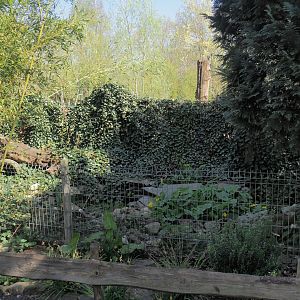 Rock garden (Formerly nutria exhibit), 2025-04-12