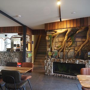 Food and drinks counter, stairs to animal attic and Silver arowana and Tiger oscar tank, 2025-04-12