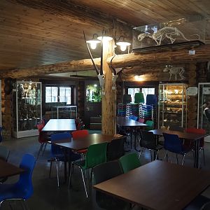 View inside the education log cabin, 2025-04-12