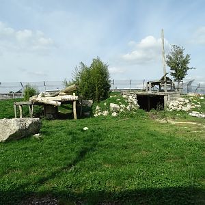 Rotational lion and tiger exhibit