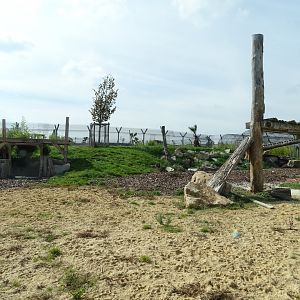 Rotational lion and tiger exhibit