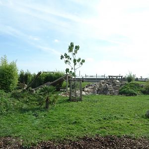 Rotational lion and tiger exhibit
