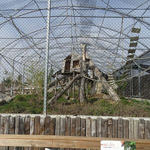 Mixed monkeys exhibit