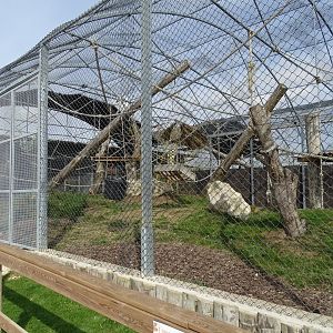 Mixed monkeys exhibit