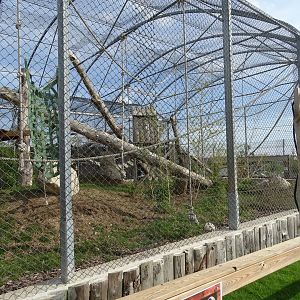 Mixed monkeys exhibit