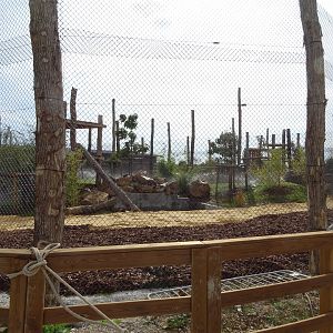 Future exhibit (big cats ?)