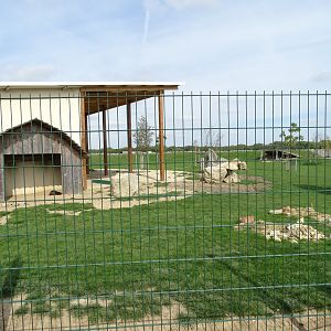 Ostrich, rhea, crested porcupine and red-necked wallabies exhibit
