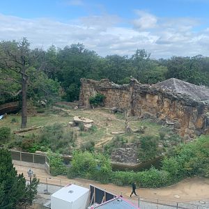 Southeast African Lion enclosure
