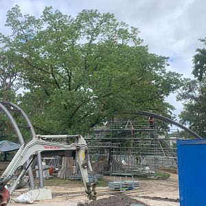 New extensions for Persian Leopard and Sumatran Tiger enclosures