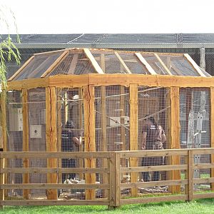 Aviary on construction
