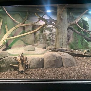 Southern Bolivian Night Monkey and Southern Three-banded Armadillo enclosure