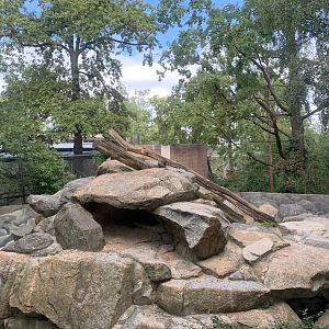 Japanese Macaque enclosure
