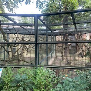 Common Squirrel Monkey enclosures