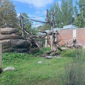 Hamlyn's Monkey enclosure