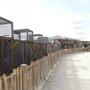 Row of macaques aviaries