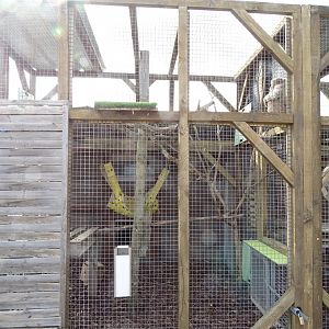 Small macaque aviary