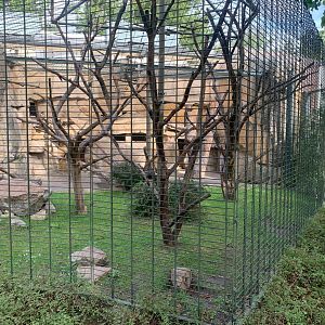 Pileated Gibbon enclosure