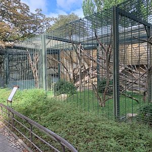Pileated Gibbon enclosure