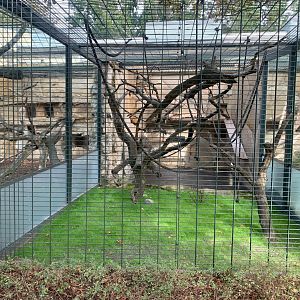 Guianan Weeper Capuchin enclosures