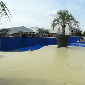 South American sea lion exhibit