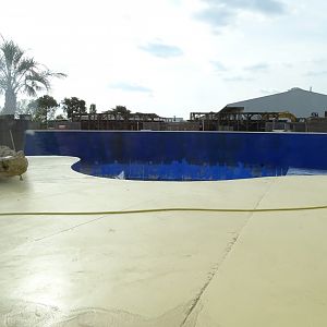 South American sea lion exhibit