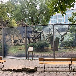 Lion-tailed Macaque enclosure