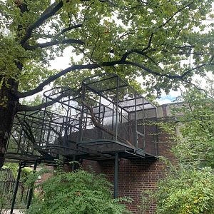 Outdoor enclosures for Eastern Pygmy Marmoset