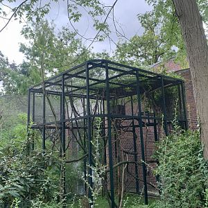Outdoor enclosure for Red Titi