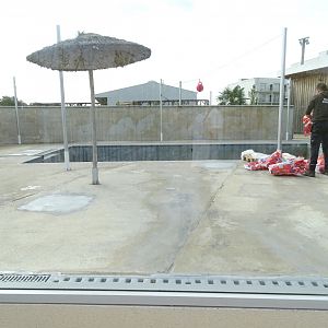 Second South American sea lion exhibit