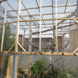 Eurasian eagle-owls aviary