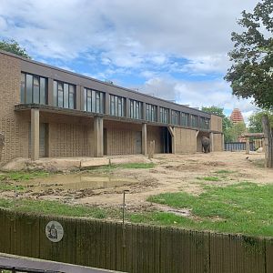Asian Elephant enclosure