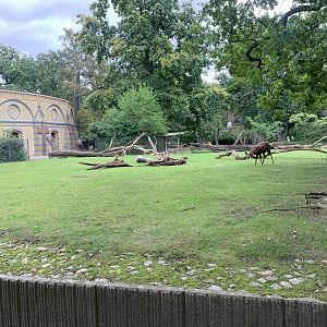 Sitatunga enclosure