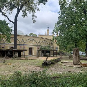 Kafue Lechwe enclosure