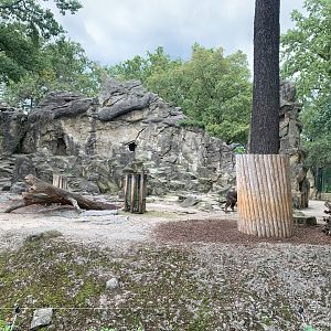 Sichuan Takin enclosure