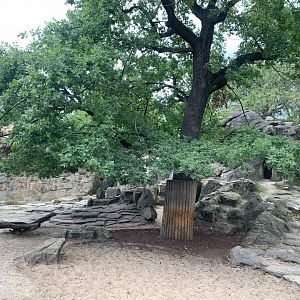 Sichuan Takin enclosure