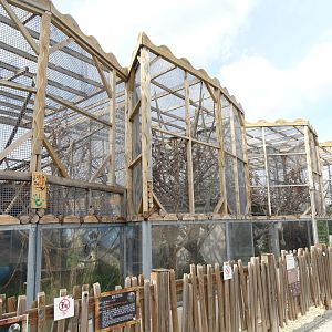 Golden-handed tamarins and white-tufted marmoset exhibit