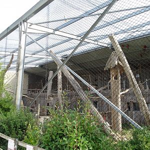 Macaws aviary