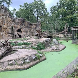 European Brown Bear enclosure
