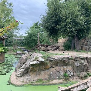 European Brown Bear enclosure