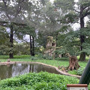 Andean Condor aviary