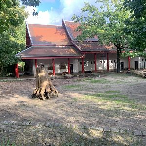 Javan Banteng enclosure