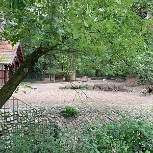 Persian Fallow Deer enclosure