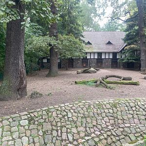 Visayan Spotted Deer enclosure