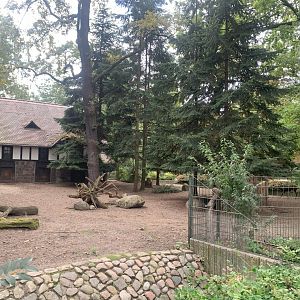 Visayan Spotted Deer enclosure