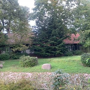 Michie's Tufted Deer enclosure
